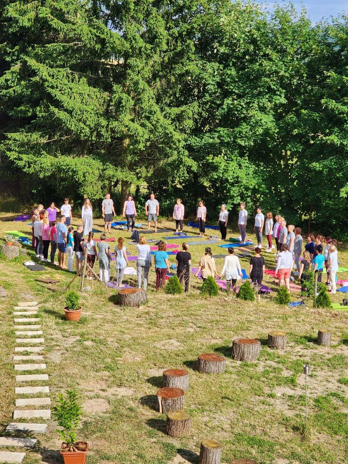 yoga teacher training kurz instruktor jogy