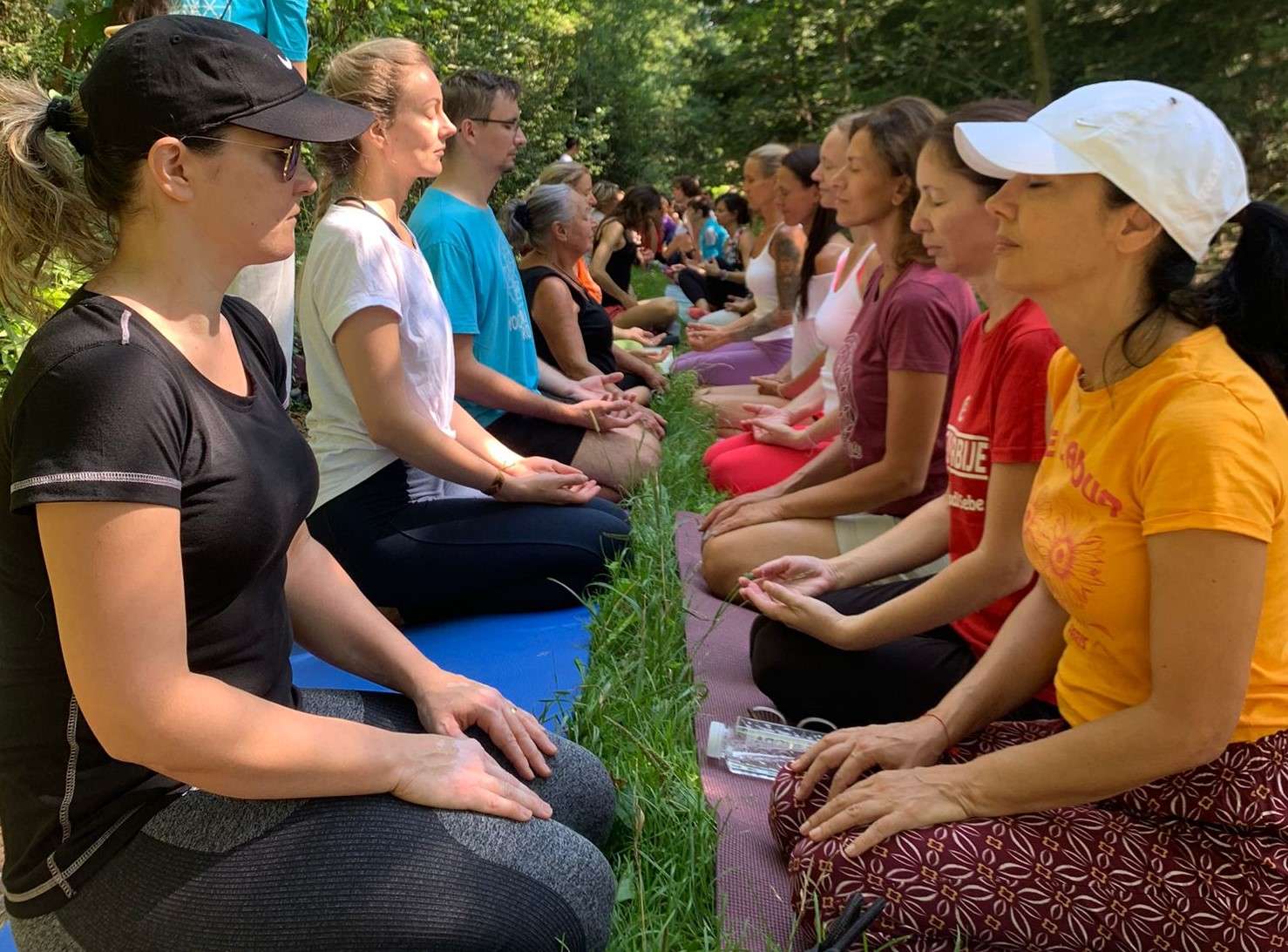 scalar golden yoga retreat 2024