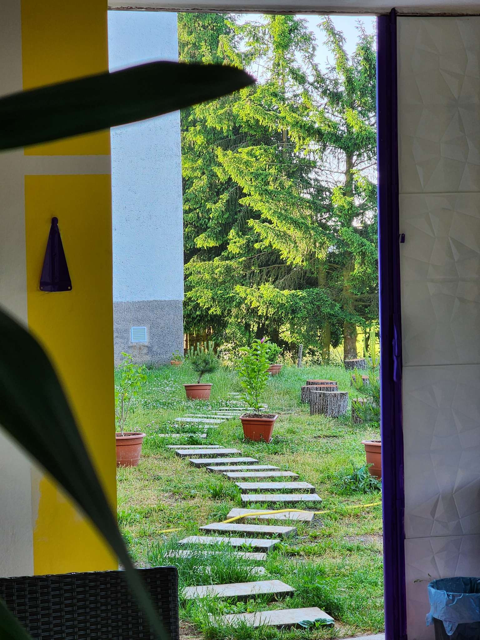 The House of Yoga Light