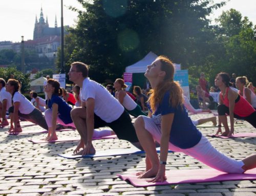 Yoga Teacher Training
