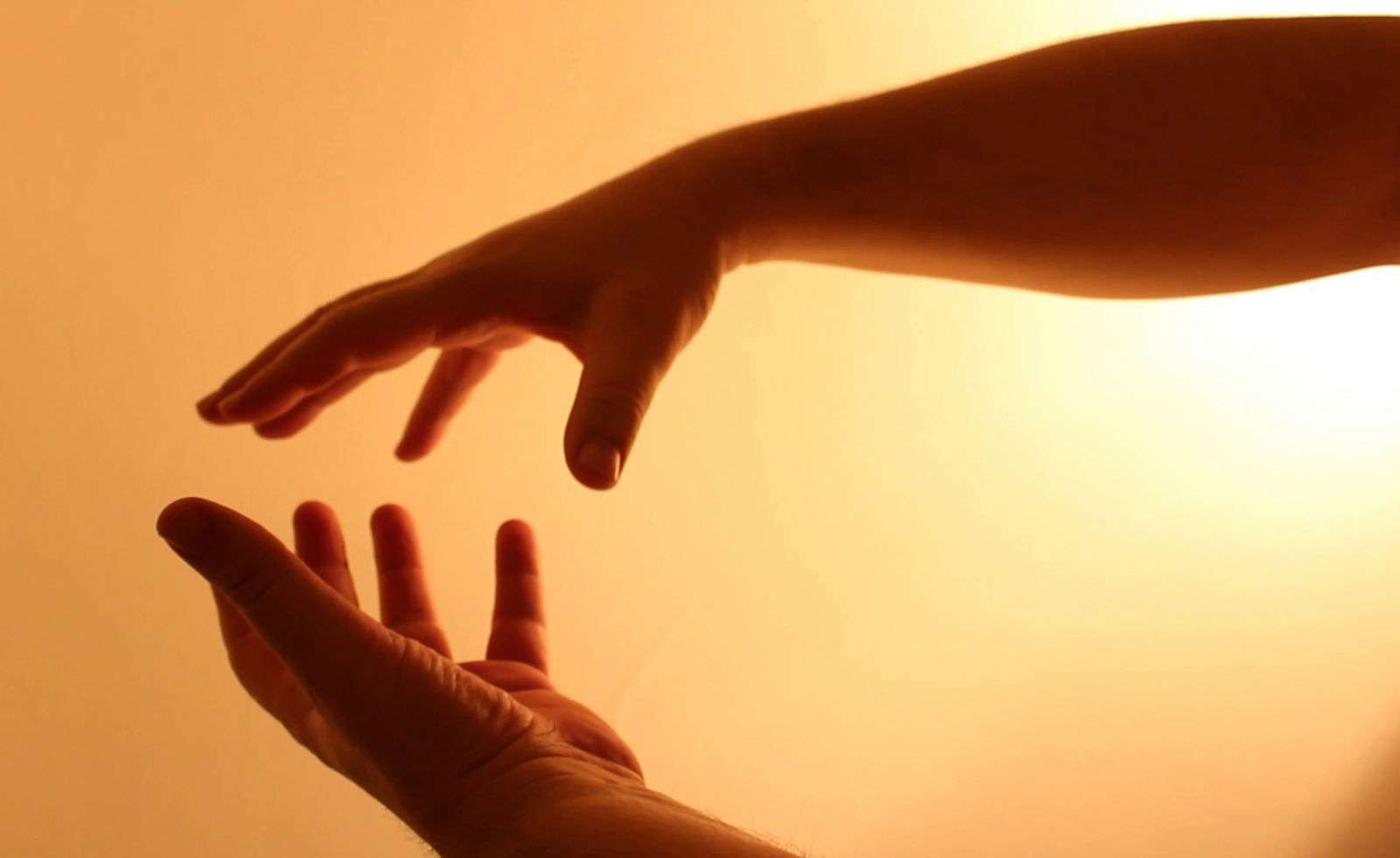 yoga therapy – energotherapy yoga therapy - energotherapy