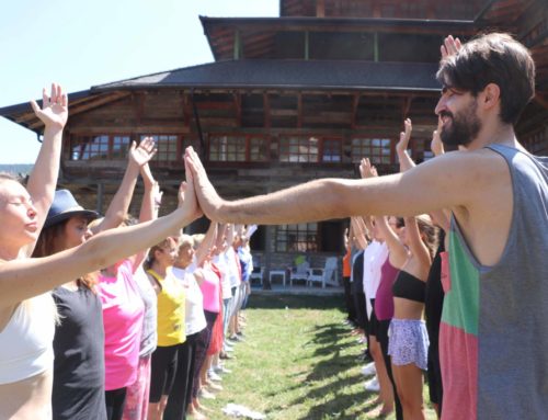 The International Yoga Retreat “Tala Chakras Lighting Codes”