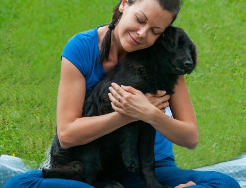 Yoga with animals